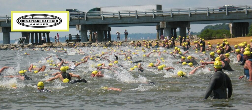 More information about the Great Chesapeake Bay 4.4 Mile Swim case study